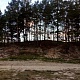 Номинация - Природа Родного края. Екатерина Бутусова. 33 богатыря